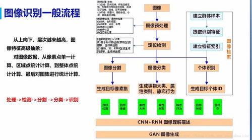 人工智能与计算机视觉的知识体系及其在计算机系统服务中的应用